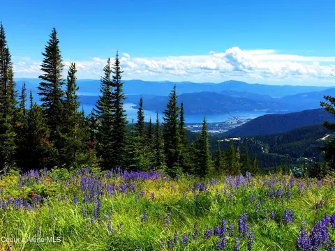 View/Area - 909 Northview Dr, Sandpoint, ID 83864 photo 18 of 24