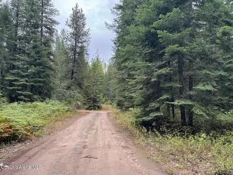 Other - 633 Old Mill Rd, Samuels, ID 83862 photo 22 of 22