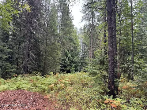 Exterior - 633 Old Mill Rd, Samuels, ID 83862 photo 10 of 12