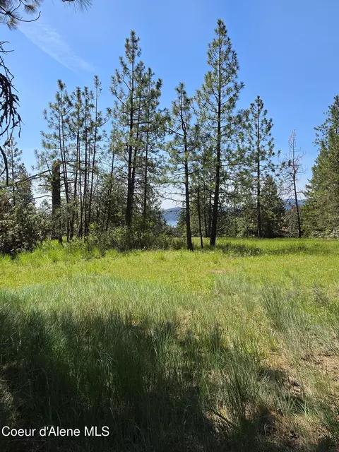 2252 E Badger Rd, Harrison, ID 83833