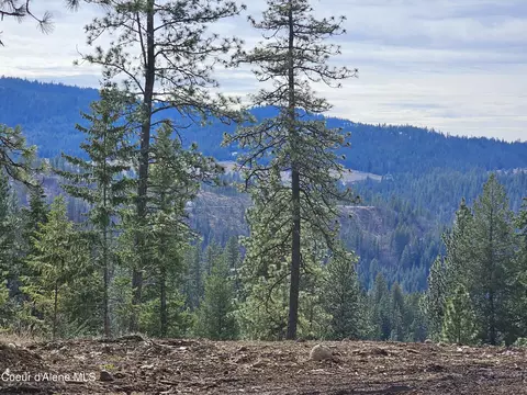 2252 E Badger Rd, Harrison, ID 83833 photo 1