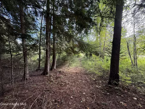 331 Fall Creek Rd, Naples, ID 83847 photo 2