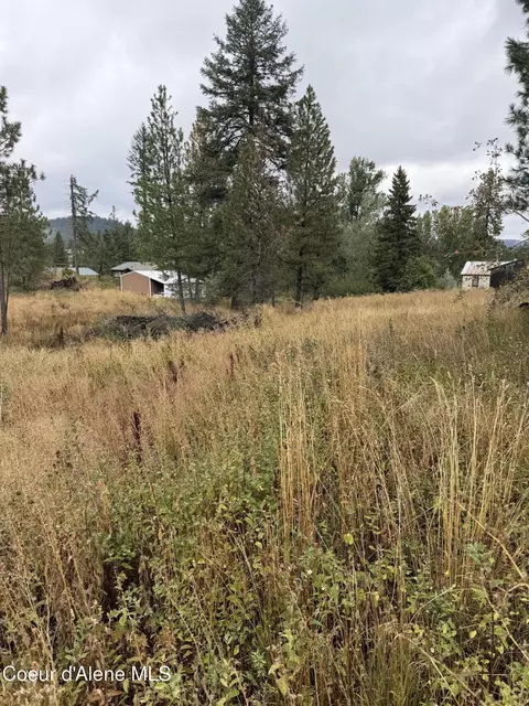 Nka F St, Plummer, ID 83851 photo 3