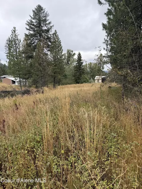 Nka F St, Plummer, ID 83851 photo 4
