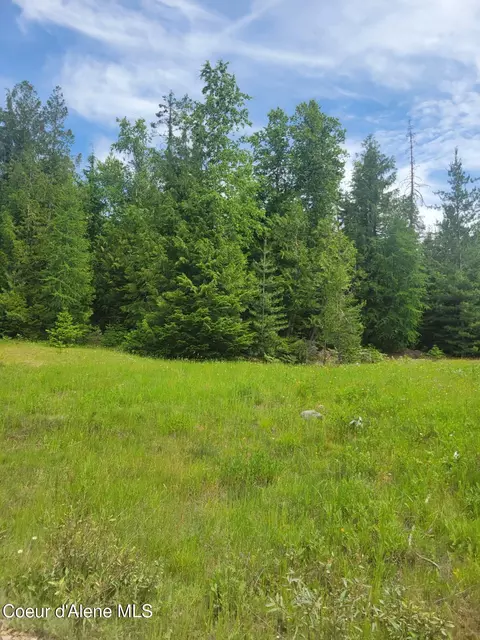240 Rising Hawk Ridge Rd, Sandpoint, ID 83864