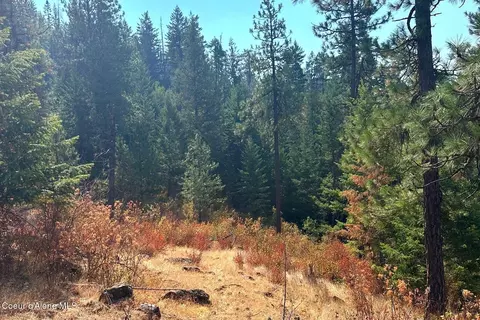 lot2 Stonegate Dr, Priest River, ID 83856 photo 14