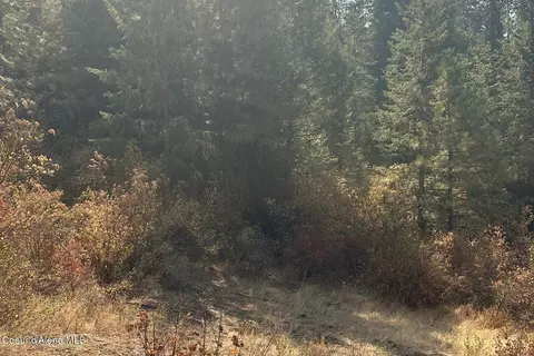 lot2 Stonegate Dr, Priest River, ID 83856 photo 8