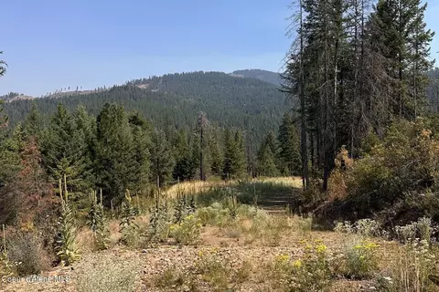 lot2 Stonegate Dr, Priest River, ID 83856 photo 5