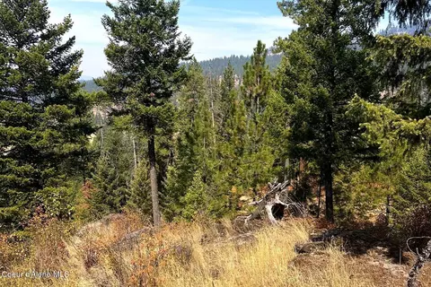 lot2 Stonegate Dr, Priest River, ID 83856 photo 12