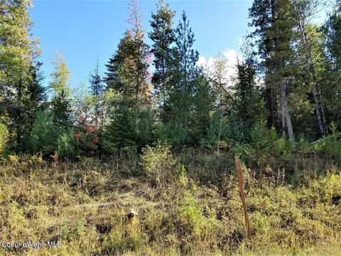 Other - 111 Trail Blazer Ct, Pinehurst, ID 83850 photo 2 of 6