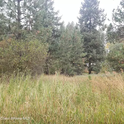 F St, Plummer, ID 83851 photo 8