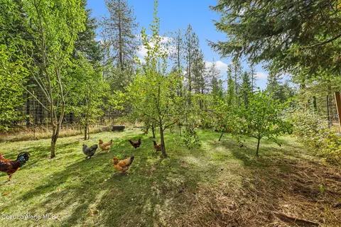 Exterior - 9219 E Son Shine Way, Athol, ID 83801 photo 13 of 13