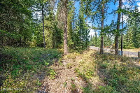 L4b1 N Walden Loop, Rathdrum, ID 83858 photo 4