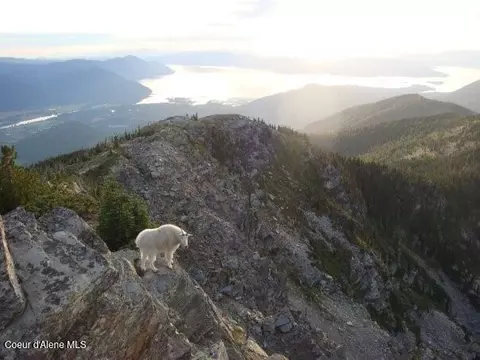 B10 L2 S White Cloud Dr, Sandpoint, ID 83864 photo 98