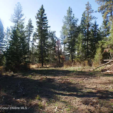 E Bell Canyon Rd, Harrison, ID 83833 photo 2