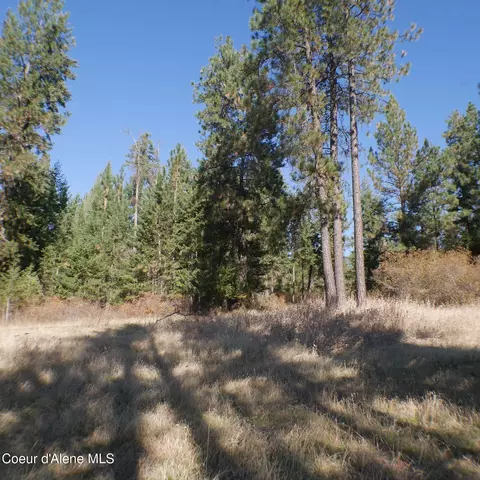 E Bell Canyon Rd, Harrison, ID 83833 photo 5