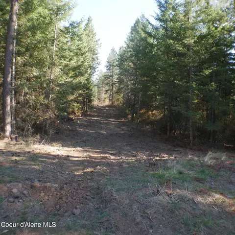E Bell Canyon Rd, Harrison, ID 83833 photo 7