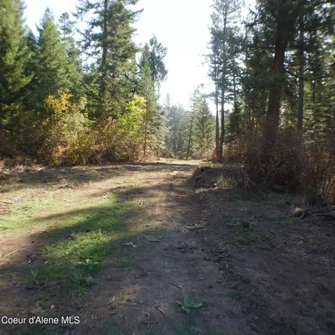 E Bell Canyon Rd, Harrison, ID 83833 photo 12