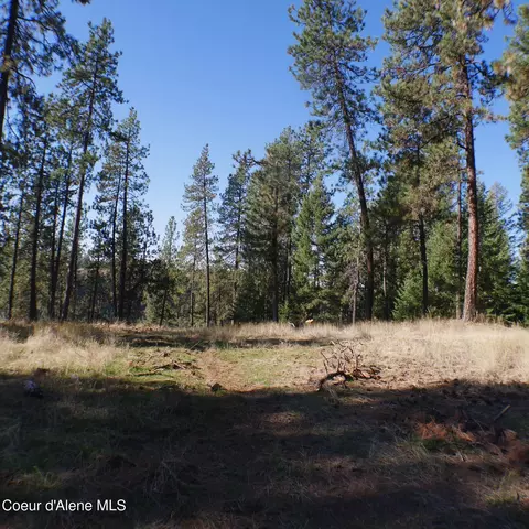 E Bell Canyon Rd, Harrison, ID 83833 photo 8