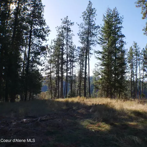 E Bell Canyon Rd, Harrison, ID 83833 photo 9