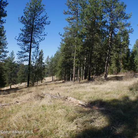 E Bell Canyon Rd, Harrison, ID 83833 photo 4