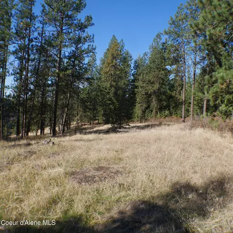 E Bell Canyon Rd, Harrison, ID 83833 photo 3