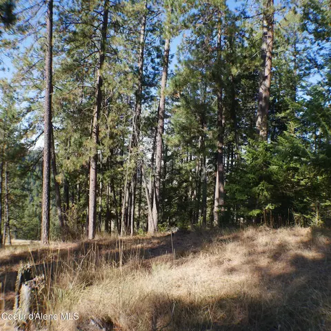 E Bell Canyon Rd, Harrison, ID 83833 photo 6