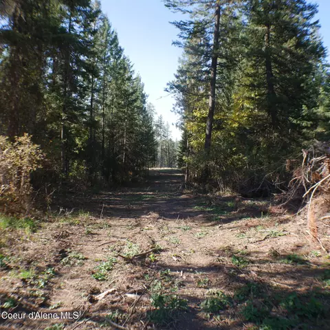 E Bell Canyon Rd, Harrison, ID 83833 photo 11