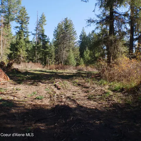 E Bell Canyon Rd, Harrison, ID 83833 photo 10