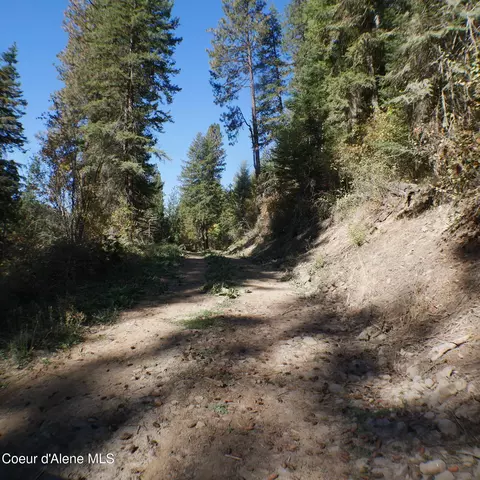 E Bell Canyon Rd, Harrison, ID 83833 photo 13