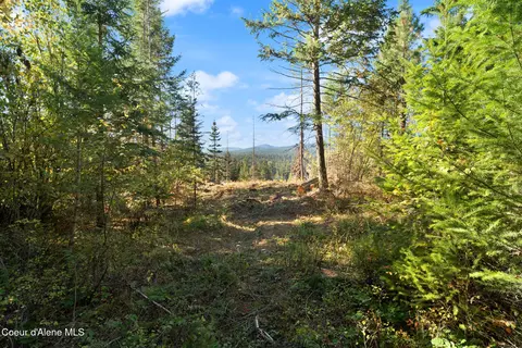 3 Cocolalla Loop, Cocolalla, ID 83813 photo 10