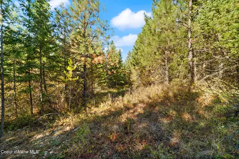 3 Cocolalla Loop, Cocolalla, ID 83813 photo 18