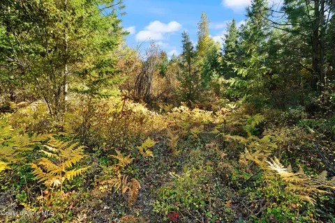3 Cocolalla Loop, Cocolalla, ID 83813 photo 15