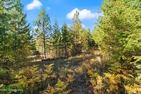 3 Cocolalla Loop, Cocolalla, ID 83813 photo 17