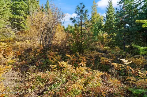 3 Cocolalla Loop, Cocolalla, ID 83813 photo 16