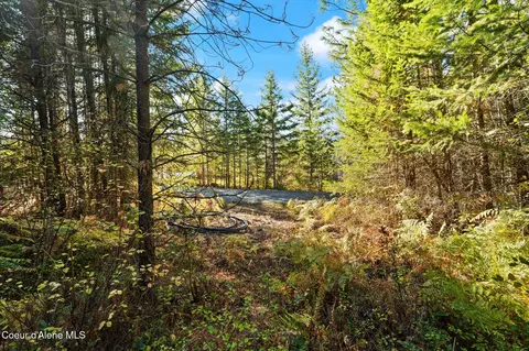 3 Cocolalla Loop, Cocolalla, ID 83813 photo 20