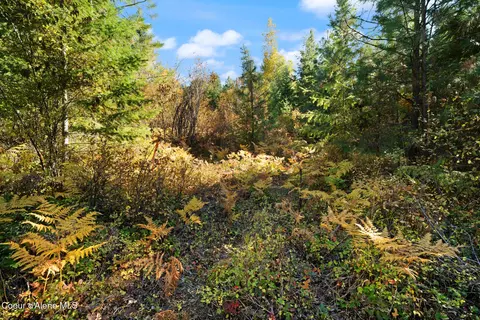 3 Cocolalla Loop, Cocolalla, ID 83813 photo 14