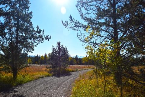 1649 Shadow Loop W, Ashton, ID 83420 photo 1