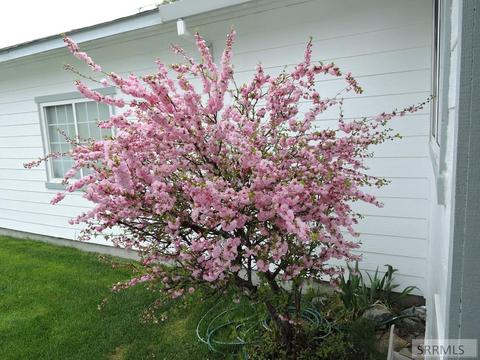 8 Larter Way, Mackay, ID 83251 photo 26