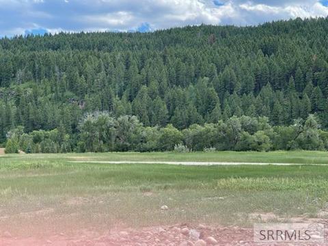 686 Raven Rd, Irwin, ID 83428 photo 1