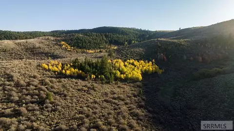 1242 Pescadero Rd, Montpelier, ID 83254