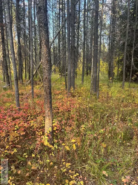 4063 Wood Ln, Island Park, ID 83429