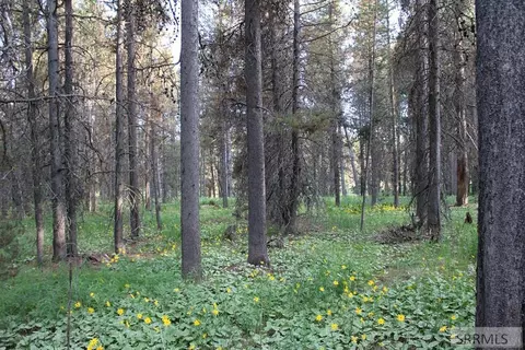 3511 Buffalo Ln, Island Park, ID 83429