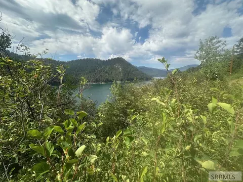 lot10 Why Worry Ln, Irwin, ID 83428