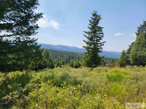 L61 B4 Cutthroat Run, Irwin, ID 83428