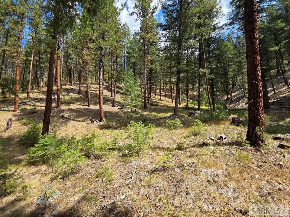 Other - 3361 N Hwy 93, Gibbonsville, ID 83463 photo 18 of 21