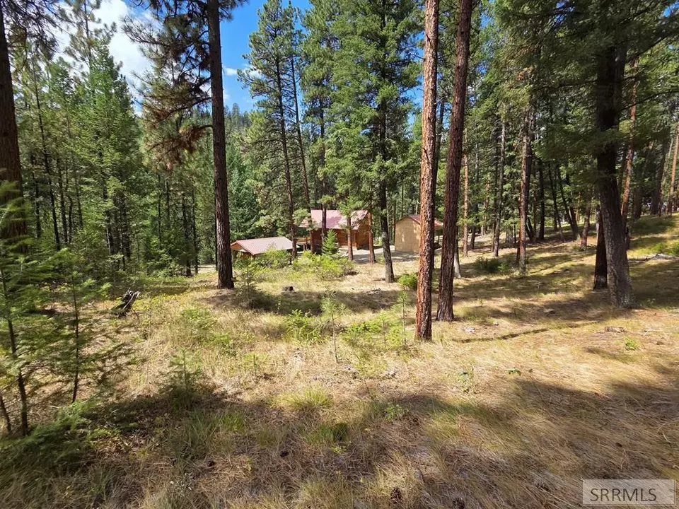 Exterior - 3361 N Hwy 93, Gibbonsville, ID 83463 photo 25 of 35