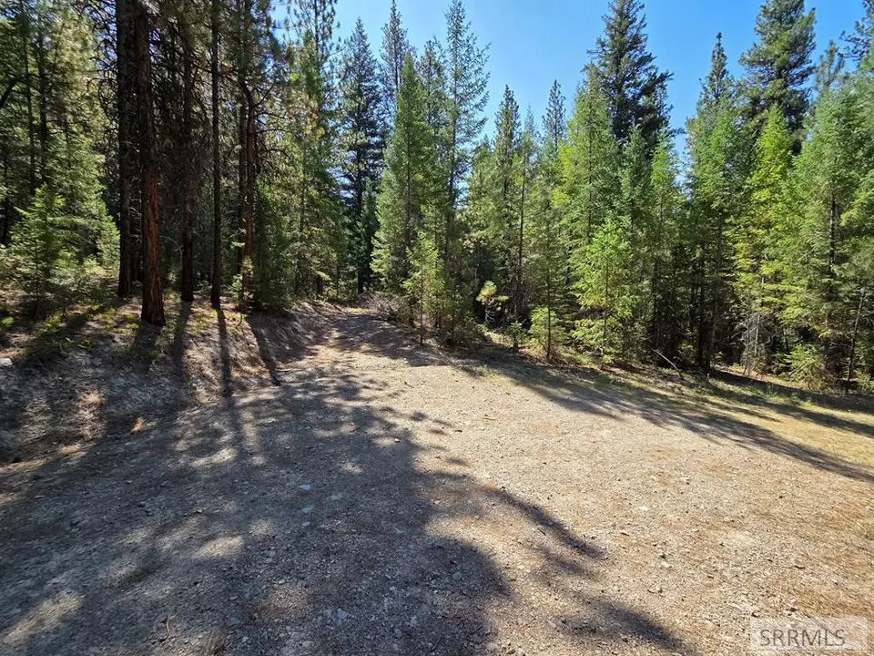 Exterior - 3361 N Hwy 93, Gibbonsville, ID 83463 photo 4 of 35