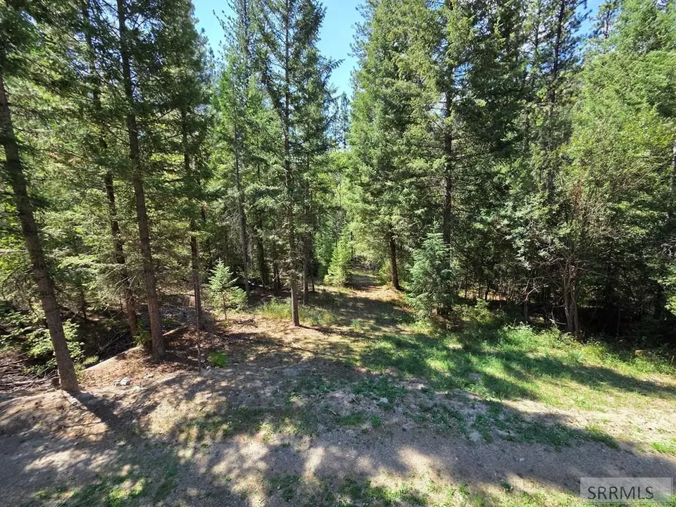 Exterior - 3361 N Hwy 93, Gibbonsville, ID 83463 photo 12 of 35