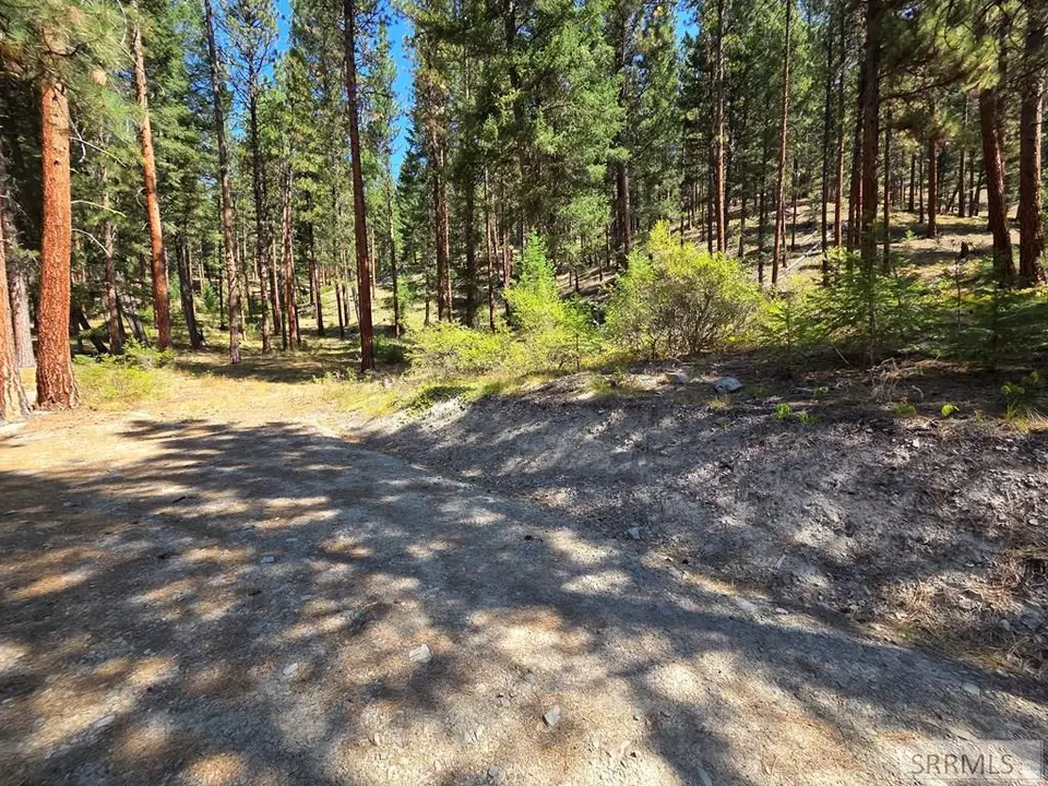 Exterior - 3361 N Hwy 93, Gibbonsville, ID 83463 photo 5 of 35